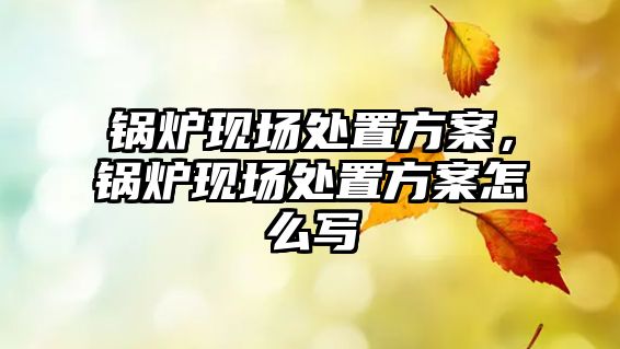 鍋爐現(xiàn)場處置方案，鍋爐現(xiàn)場處置方案怎么寫