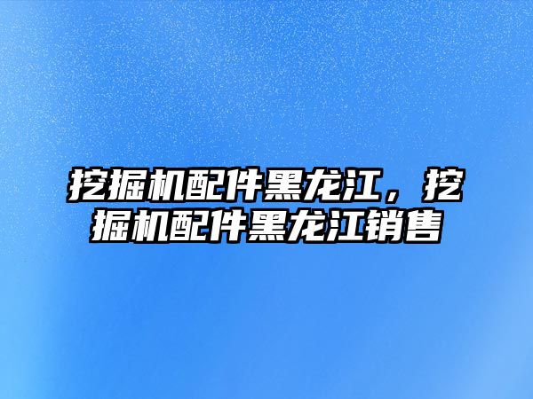 挖掘機(jī)配件黑龍江，挖掘機(jī)配件黑龍江銷售