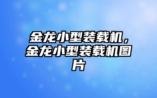 金龍小型裝載機(jī)，金龍小型裝載機(jī)圖片