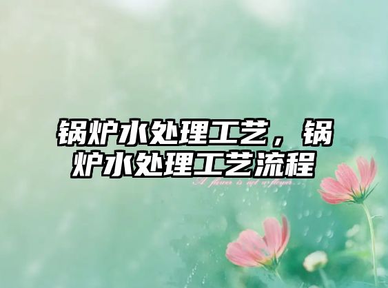 鍋爐水處理工藝，鍋爐水處理工藝流程