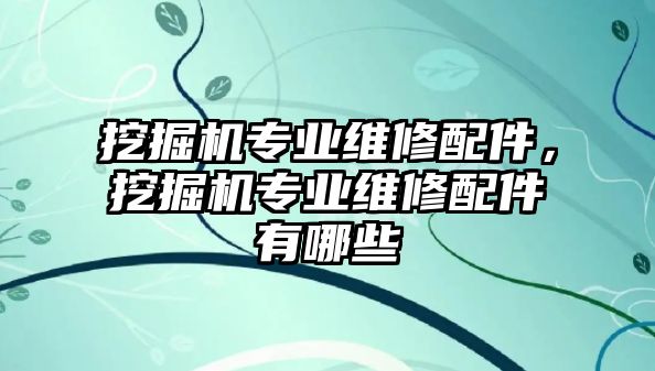 挖掘機專業(yè)維修配件，挖掘機專業(yè)維修配件有哪些