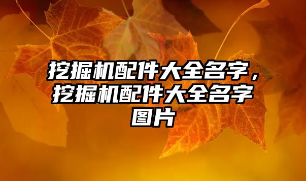 挖掘機配件大全名字，挖掘機配件大全名字圖片