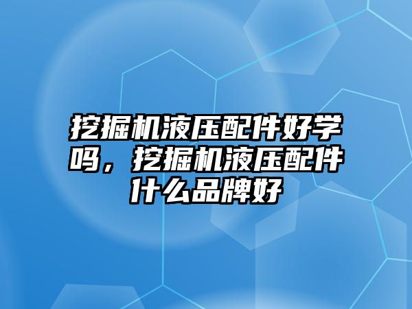 挖掘機液壓配件好學嗎，挖掘機液壓配件什么品牌好