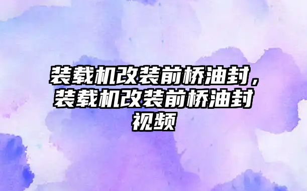 裝載機(jī)改裝前橋油封，裝載機(jī)改裝前橋油封視頻