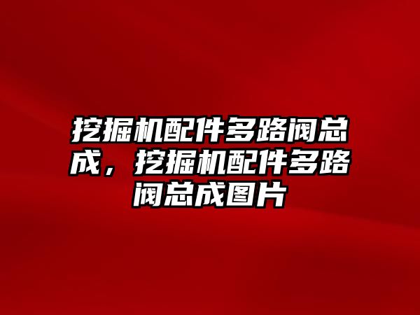 挖掘機(jī)配件多路閥總成，挖掘機(jī)配件多路閥總成圖片