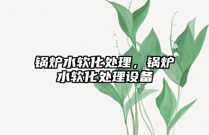 鍋爐水軟化處理，鍋爐水軟化處理設(shè)備