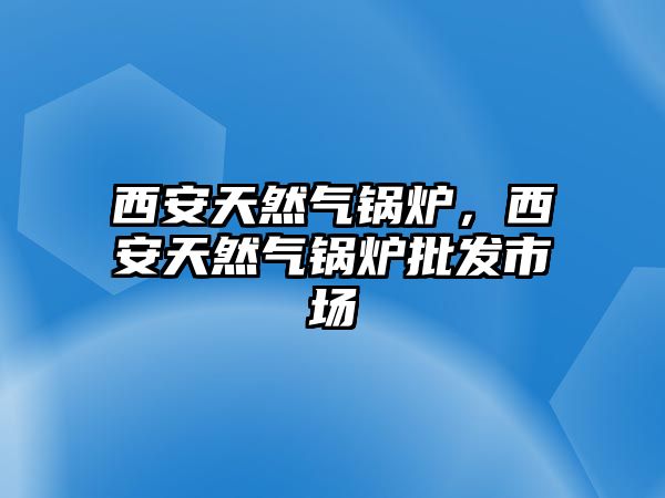 西安天然氣鍋爐，西安天然氣鍋爐批發(fā)市場