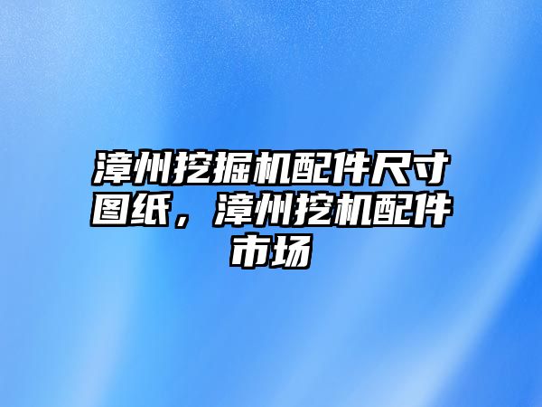 漳州挖掘機配件尺寸圖紙，漳州挖機配件市場