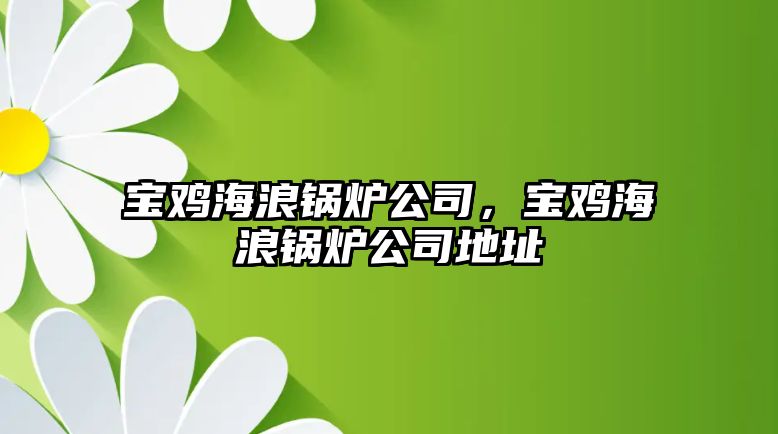 寶雞海浪鍋爐公司，寶雞海浪鍋爐公司地址