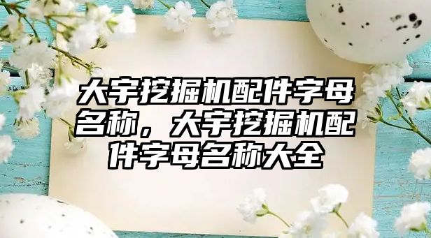 大宇挖掘機配件字母名稱，大宇挖掘機配件字母名稱大全