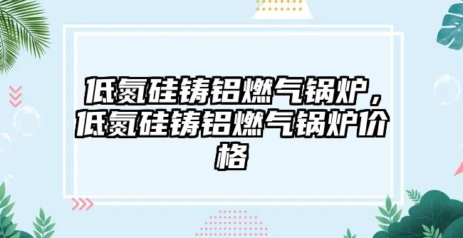 低氮硅鑄鋁燃?xì)忮仩t，低氮硅鑄鋁燃?xì)忮仩t價(jià)格