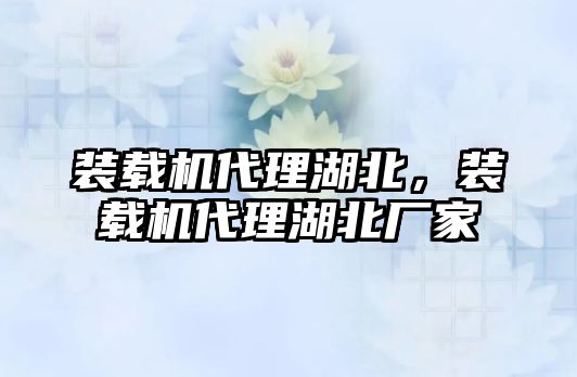 裝載機(jī)代理湖北，裝載機(jī)代理湖北廠家