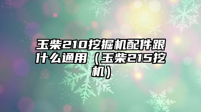 玉柴210挖掘機(jī)配件跟什么通用（玉柴215挖機(jī)）