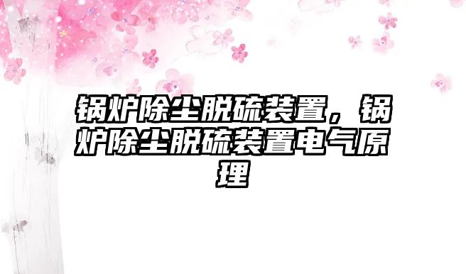 鍋爐除塵脫硫裝置，鍋爐除塵脫硫裝置電氣原理