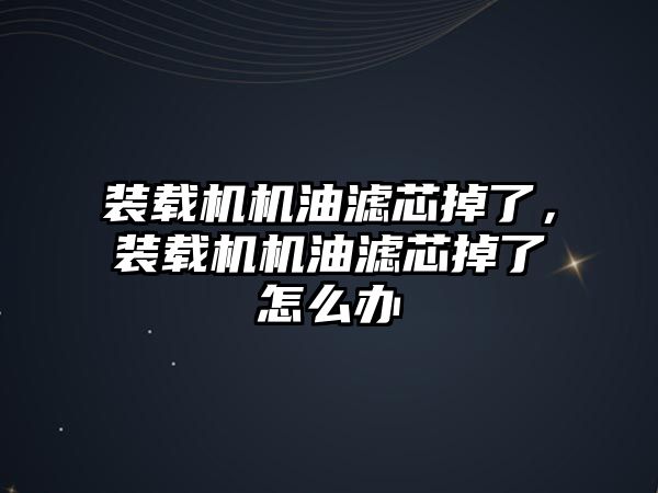 裝載機機油濾芯掉了，裝載機機油濾芯掉了怎么辦