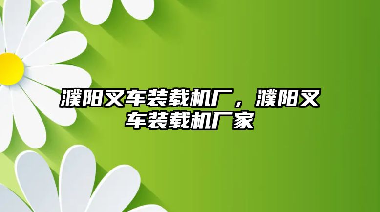 濮陽叉車裝載機廠，濮陽叉車裝載機廠家