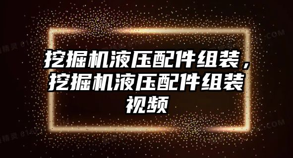 挖掘機(jī)液壓配件組裝，挖掘機(jī)液壓配件組裝視頻