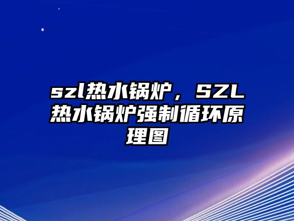 szl熱水鍋爐，SZL熱水鍋爐強(qiáng)制循環(huán)原理圖