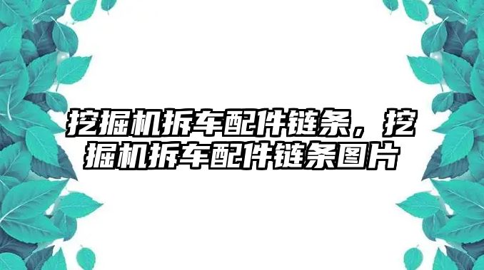 挖掘機拆車配件鏈條，挖掘機拆車配件鏈條圖片