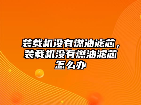 裝載機沒有燃油濾芯，裝載機沒有燃油濾芯怎么辦