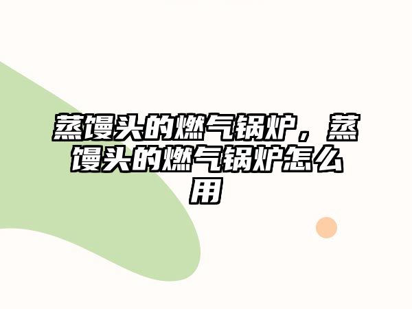 蒸饅頭的燃?xì)忮仩t，蒸饅頭的燃?xì)忮仩t怎么用