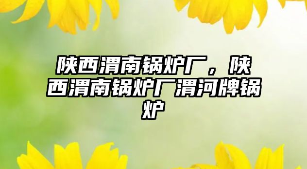 陜西渭南鍋爐廠，陜西渭南鍋爐廠渭河牌鍋爐