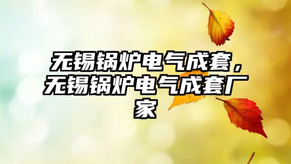 無(wú)錫鍋爐電氣成套，無(wú)錫鍋爐電氣成套廠(chǎng)家