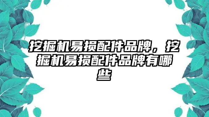 挖掘機(jī)易損配件品牌，挖掘機(jī)易損配件品牌有哪些