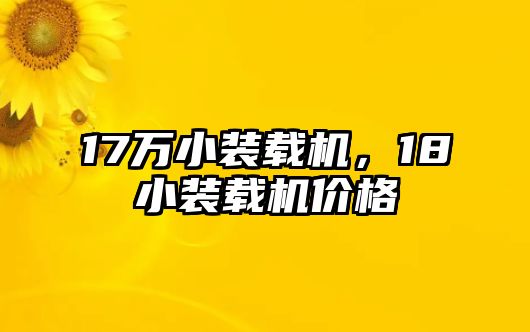 17萬小裝載機(jī)，18小裝載機(jī)價(jià)格