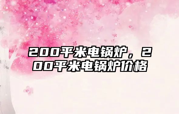 200平米電鍋爐，200平米電鍋爐價(jià)格