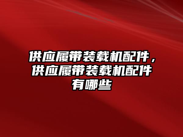 供應(yīng)履帶裝載機(jī)配件，供應(yīng)履帶裝載機(jī)配件有哪些