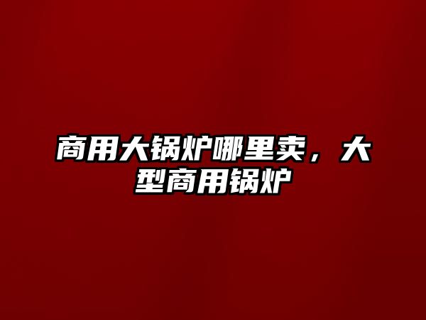 商用大鍋爐哪里賣，大型商用鍋爐