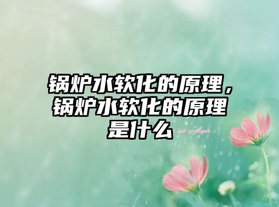 鍋爐水軟化的原理，鍋爐水軟化的原理是什么