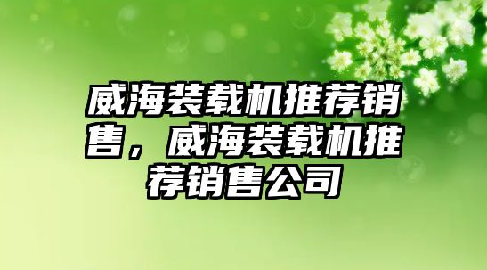 威海裝載機(jī)推薦銷售，威海裝載機(jī)推薦銷售公司