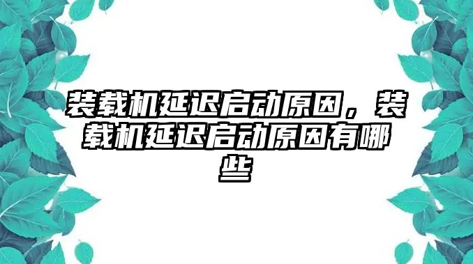 裝載機延遲啟動原因，裝載機延遲啟動原因有哪些