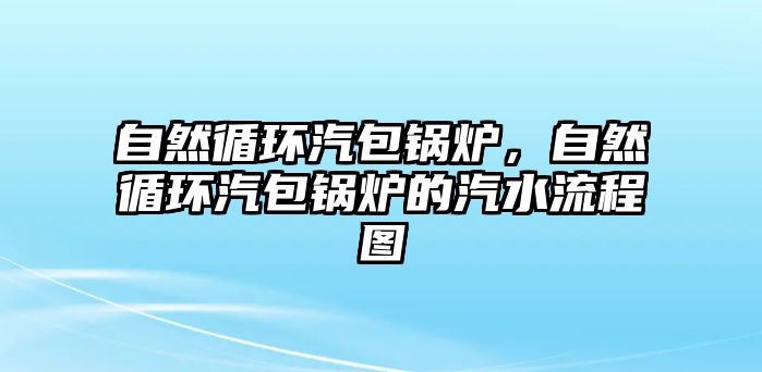 自然循環(huán)汽包鍋爐，自然循環(huán)汽包鍋爐的汽水流程圖