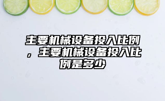 主要機械設備投入比例，主要機械設備投入比例是多少