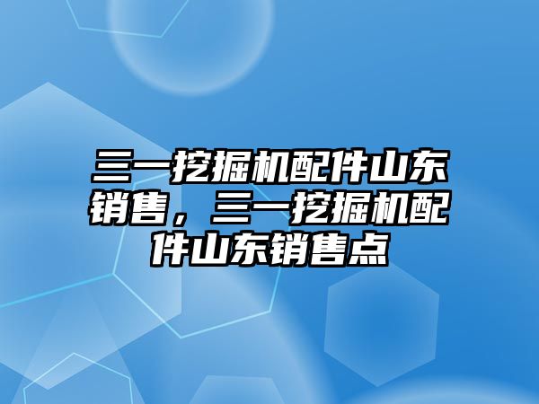 三一挖掘機配件山東銷售，三一挖掘機配件山東銷售點