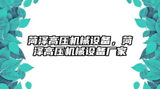 菏澤高壓機(jī)械設(shè)備，菏澤高壓機(jī)械設(shè)備廠家