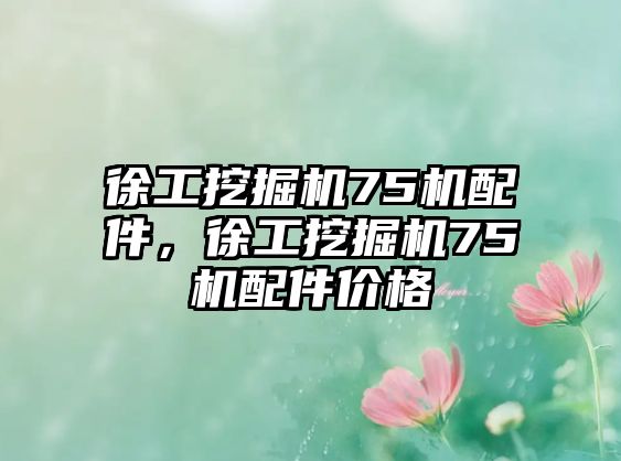 徐工挖掘機(jī)75機(jī)配件，徐工挖掘機(jī)75機(jī)配件價(jià)格