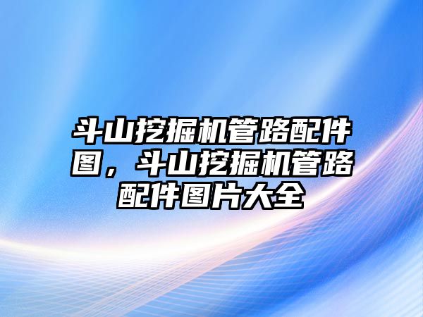 斗山挖掘機(jī)管路配件圖，斗山挖掘機(jī)管路配件圖片大全