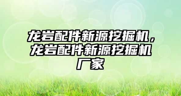 龍巖配件新源挖掘機，龍巖配件新源挖掘機廠家