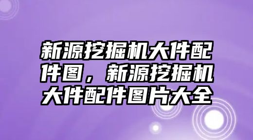 新源挖掘機大件配件圖，新源挖掘機大件配件圖片大全