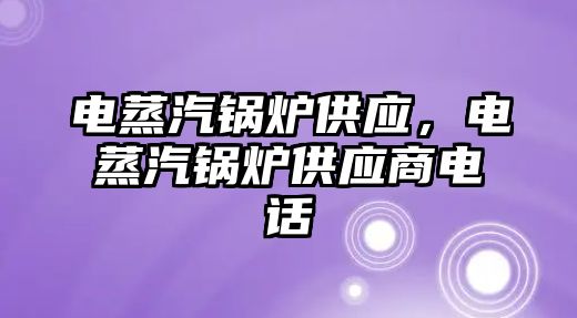 電蒸汽鍋爐供應(yīng)，電蒸汽鍋爐供應(yīng)商電話