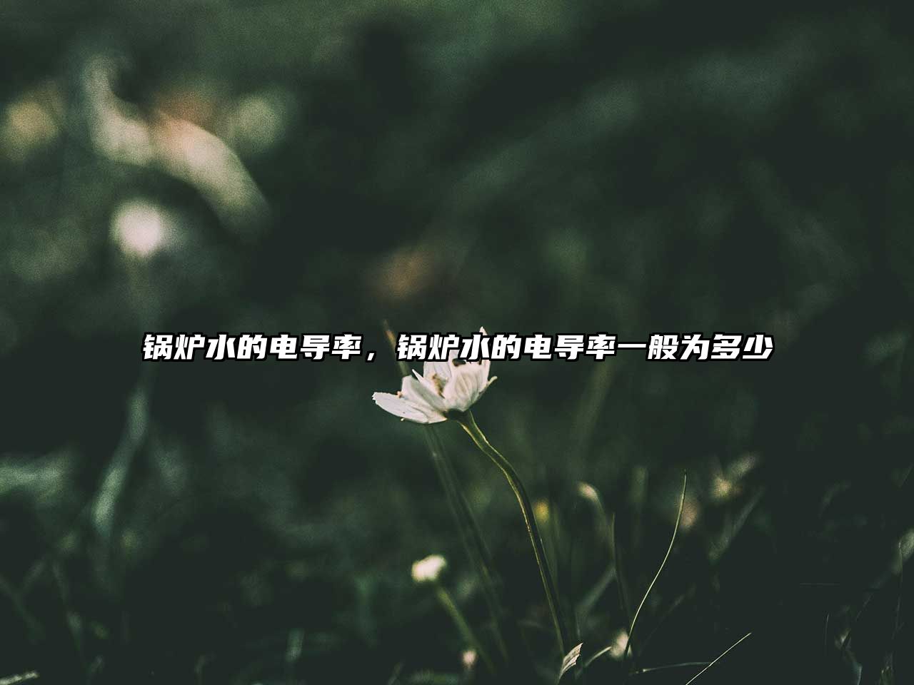 鍋爐水的電導(dǎo)率，鍋爐水的電導(dǎo)率一般為多少