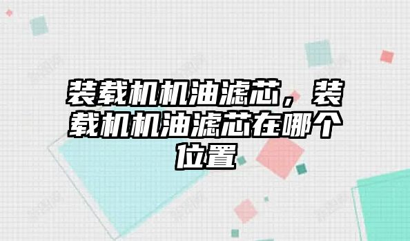 裝載機機油濾芯，裝載機機油濾芯在哪個位置