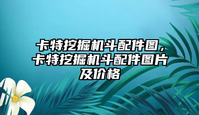 卡特挖掘機(jī)斗配件圖，卡特挖掘機(jī)斗配件圖片及價格