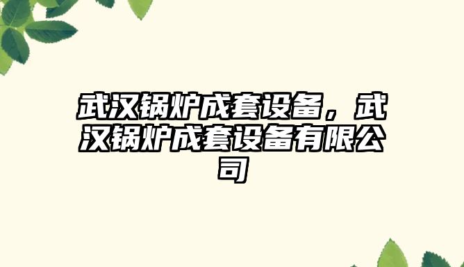 武漢鍋爐成套設(shè)備，武漢鍋爐成套設(shè)備有限公司