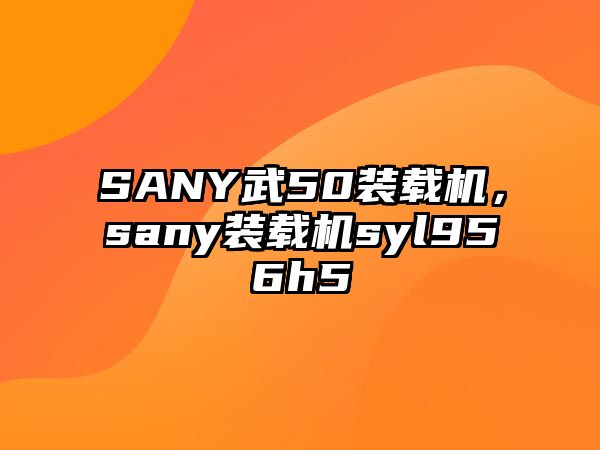 SANY武50裝載機(jī)，sany裝載機(jī)syl956h5