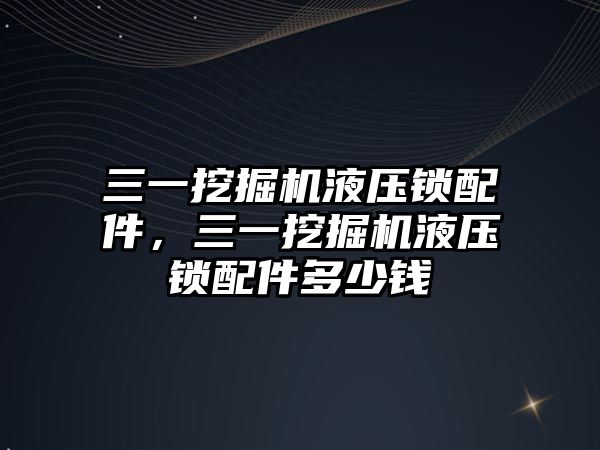 三一挖掘機液壓鎖配件，三一挖掘機液壓鎖配件多少錢